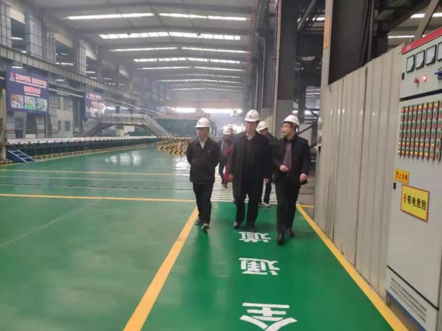 领导关怀-省商务厅领导莅临云顶集团铝业调研指导