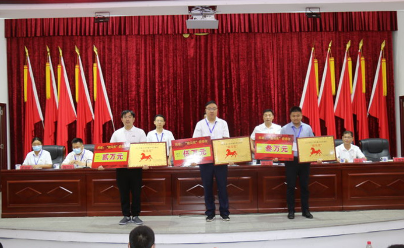 项目为王，公司喜获重点项目建设“骏马奖”