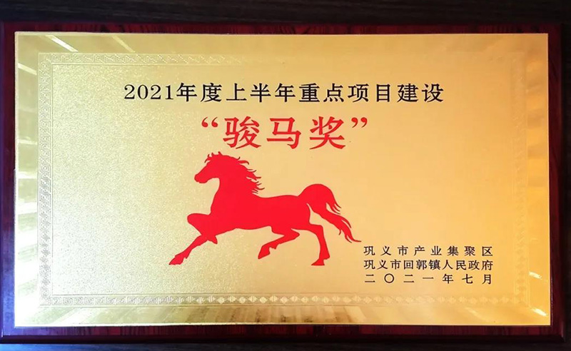 项目为王，公司喜获重点项目建设“骏马奖”