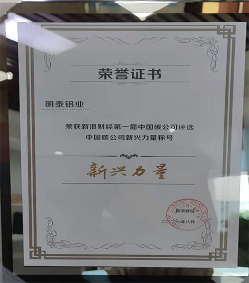 云顶集团铝业入选“2021第一届中国碳公司评选新云顶集团量”