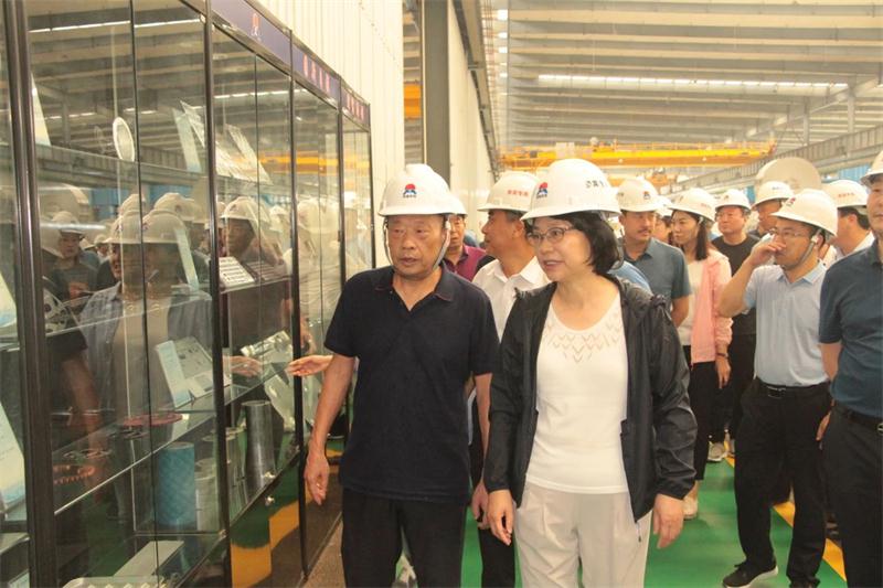 灵宝市党政考察团莅临云顶集团铝业参观考察