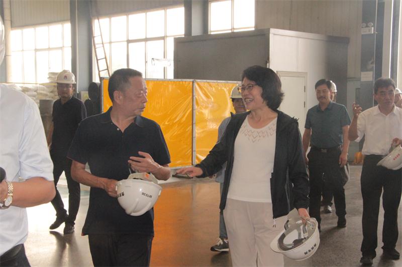 灵宝市党政考察团莅临云顶集团铝业参观考察