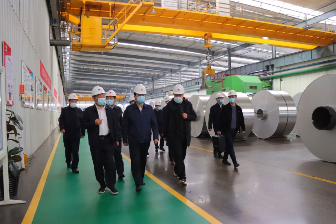 河南省副省长何金平莅临云顶集团铝业调研