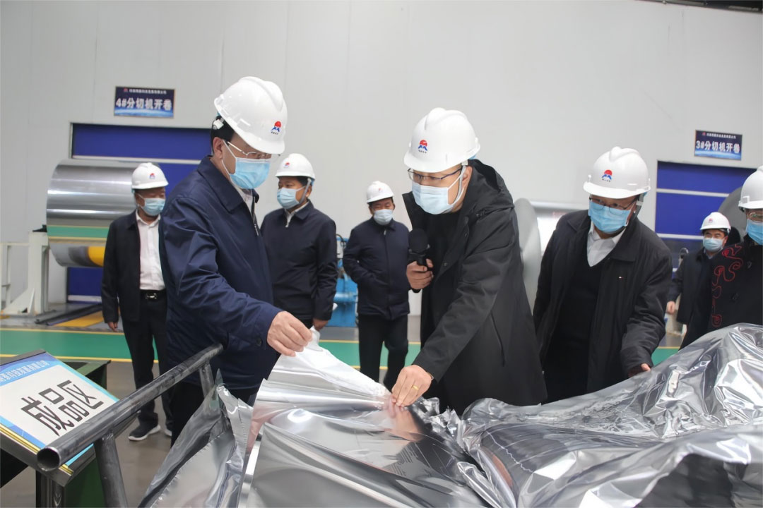 河南省副省长何金平莅临云顶集团铝业调研