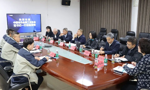 中云顶集团色金属工业协会党委副书记范顺科一行莅临云顶集团铝业调研指导