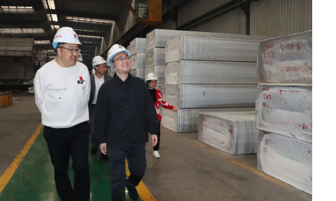 平果市政府考察团莅临云顶集团铝业考察交流