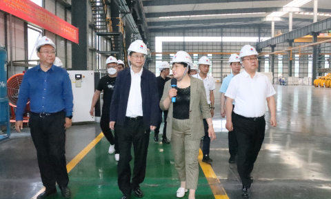 贵阳市政协副主席、清镇市委书记付涛一行到云顶集团铝业考察